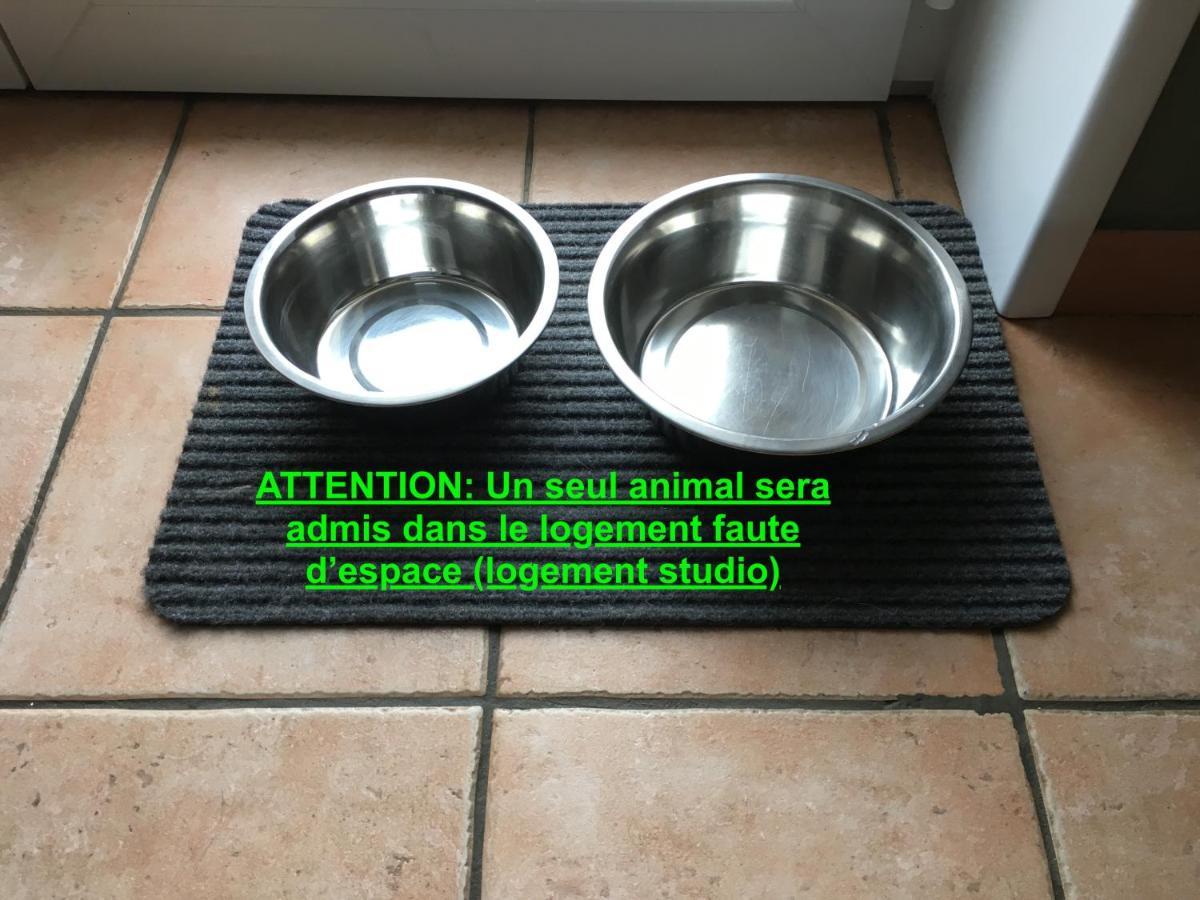 Studio "Pause A La Naturelle" Wimereux- Cote D'Opale Екстериор снимка